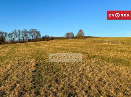 Prodej - pozemek, trvalý travní porost, 11 164 m²