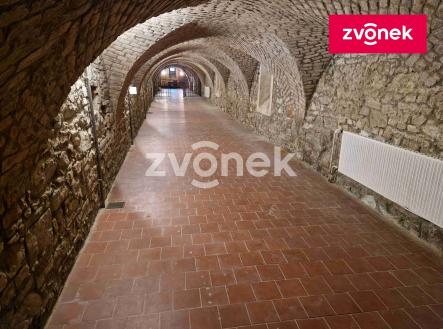 Pronájem obchodní prostor, 650 m²