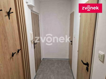 Pronájem bytu, 1+1, 44 m²