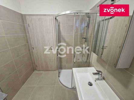 Pronájem bytu, 1+kk, 30 m²