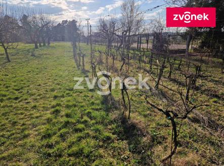 Prodej pozemku pro bydlení, 1 931 m²