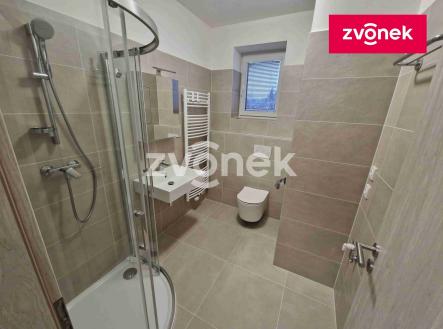 Pronájem bytu, 1+kk, 30 m²