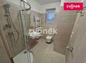 Pronájem bytu, 1+kk, 30 m²