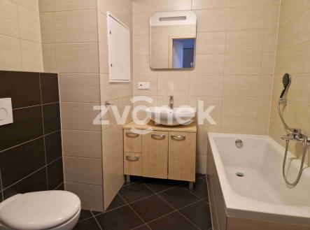Pronájem bytu, 2+kk, 48 m²