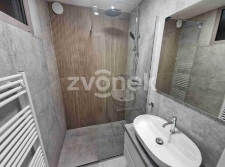 Pronájem bytu, 3+kk, 62 m²