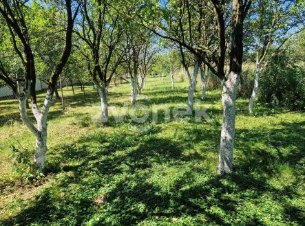 Prodej domu/vily, 130 m²