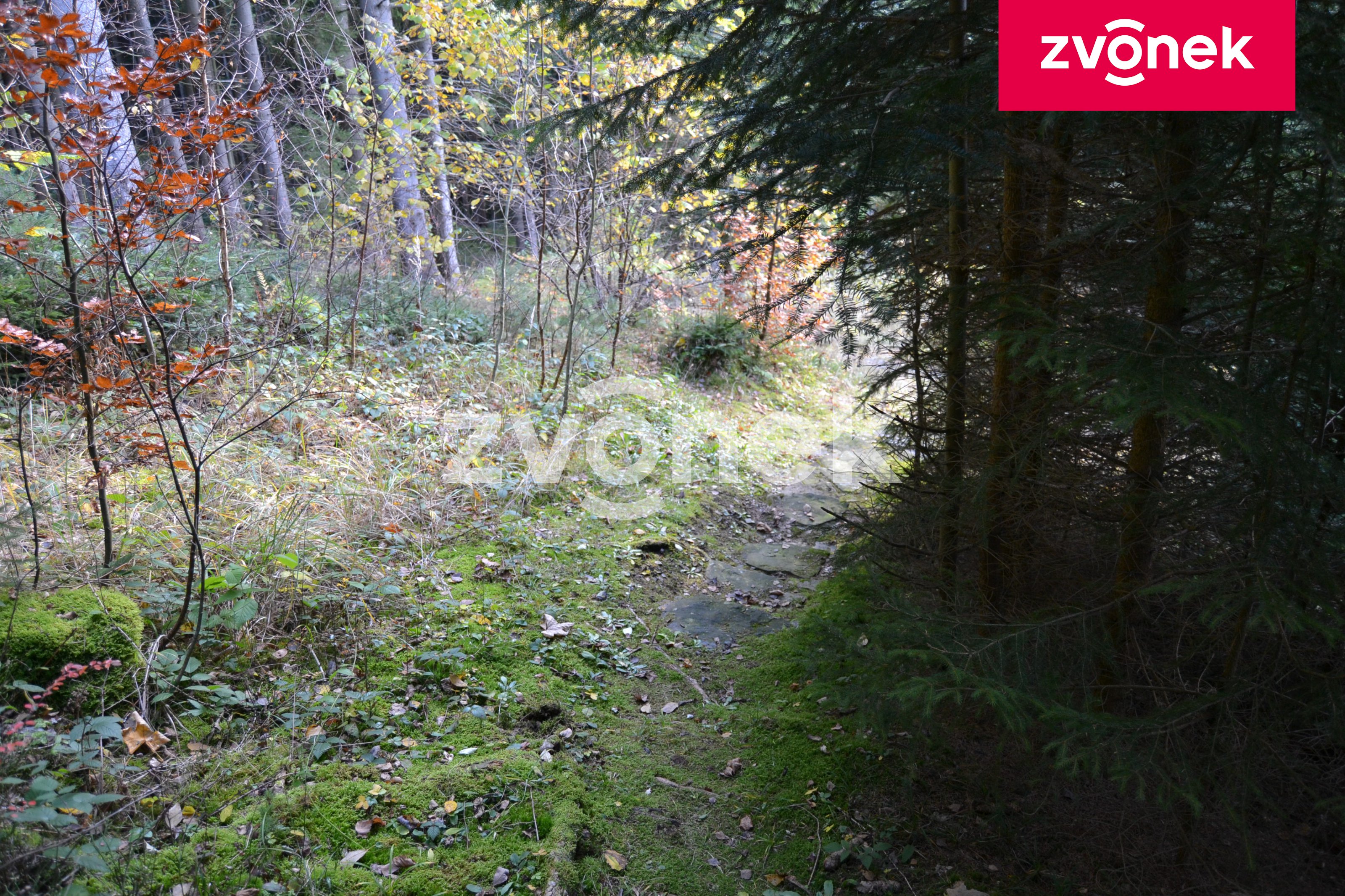 Obrázek k zakázce č.: 716482