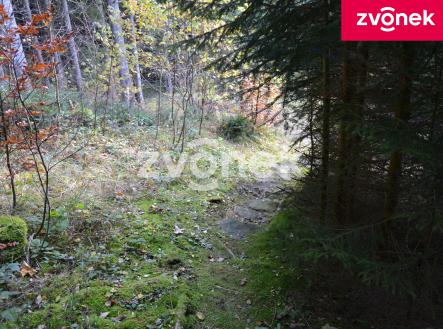 Prodej chaty/rekreačního objektu, 65 m²