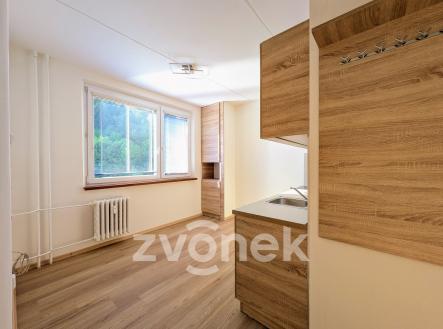 Pronájem bytu, 2+1, 43 m²
