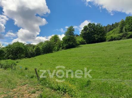 Prodej pozemku pro bydlení, 2 813 m²