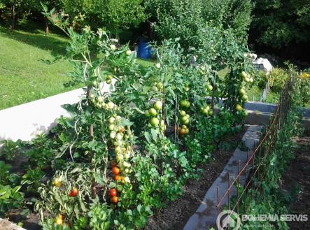 Prodej chaty/rekreačního objektu, 25 m²