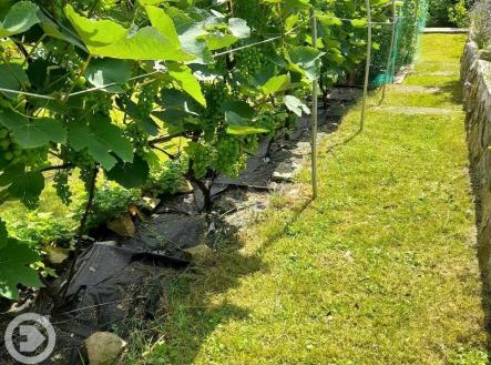 Prodej chaty/rekreačního objektu, 25 m²