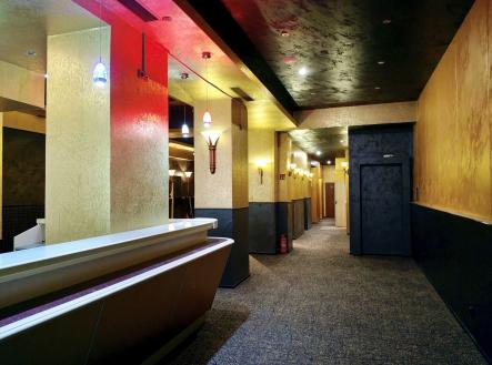 Pronájem obchodní prostor, 411 m²