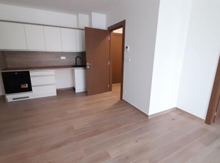 Pronájem bytu, 2+kk, 49 m²