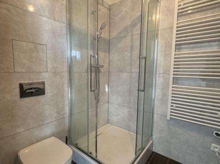 Pronájem bytu, 2+1, 54 m²