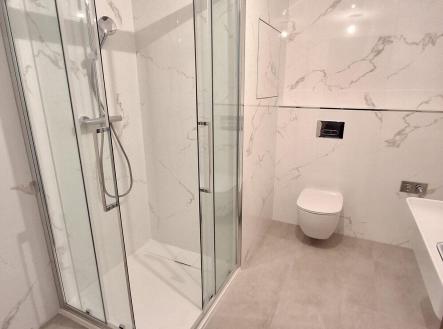 Pronájem bytu, 2+kk, 54 m²