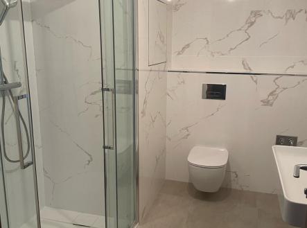 Pronájem bytu, 2+kk, 54 m²