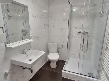Pronájem bytu, 2+kk, 47 m²