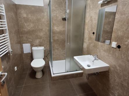 Pronájem bytu, 2+kk, 51 m²