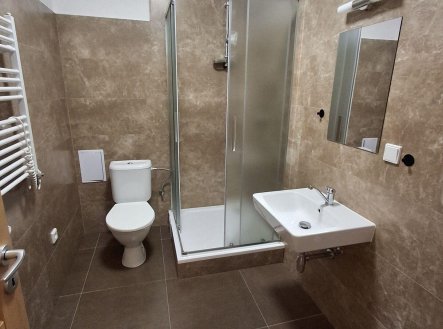 Pronájem bytu, 2+kk, 51 m²