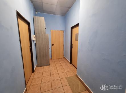 Pronájem - kanceláře, 28 m²