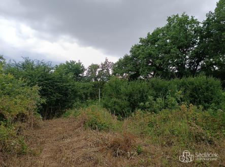 Prodej pozemku pro bydlení, 2 116 m²