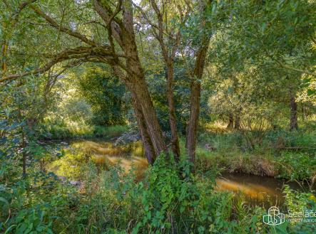 Prodej pozemku, trvalý travní porost, 40 229 m²