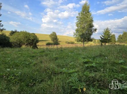 Prodej pozemku, ostatní, 8 130 m²