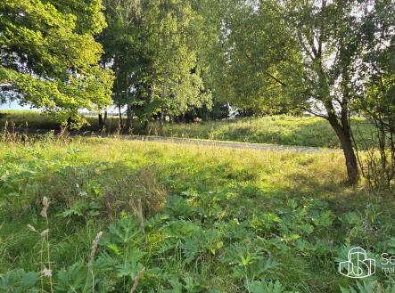 Prodej pozemku, ostatní, 8 130 m²