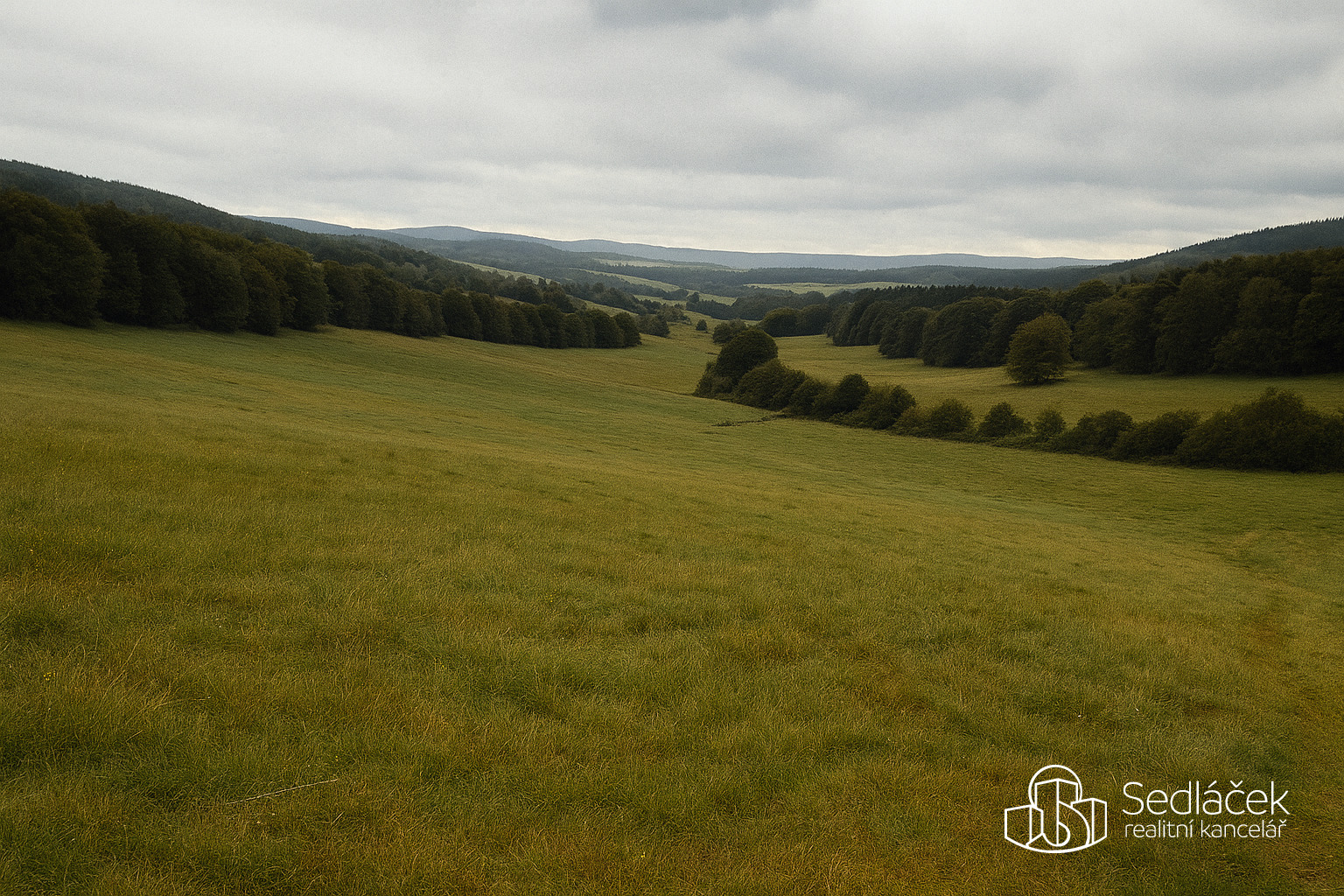 Prodej rozsáhlého souboru zemědělských pozemků – 119,74 ha, Nadlesí u Lokte, okres Sokolov