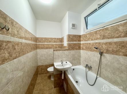 Pronájem bytu, 1+1, 43 m²