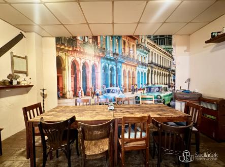 Pronájem obchodní prostor, 166 m²