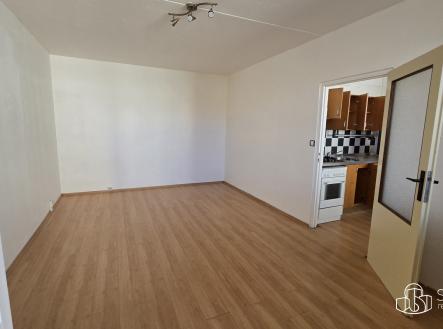 Pronájem bytu, 1+1, 45 m²