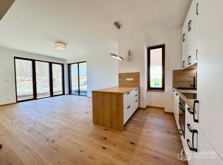 Pronájem bytu, 2+kk, 67 m²