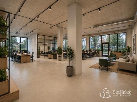 Pronájem obchodní prostor, 350 m²