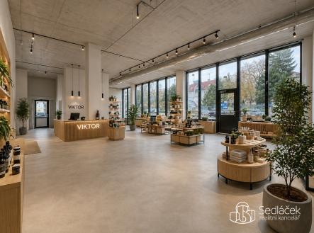 Pronájem obchodní prostor, 350 m²