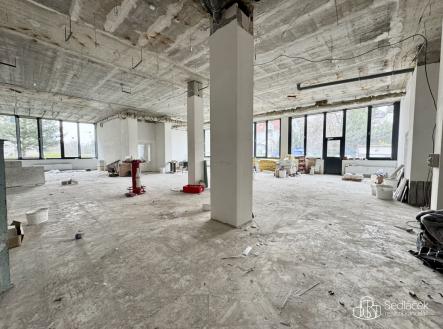 Pronájem obchodní prostory, 350 m²