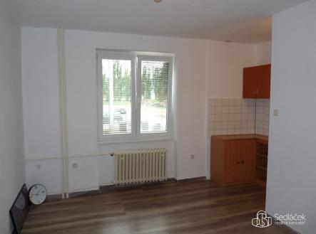 Pronájem bytu, 1+kk, 24 m²
