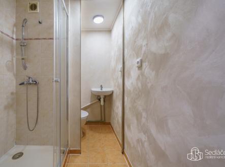 Pronájem bytu, 1+1, 38 m²