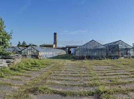 Prodej - zemědělský objekt, 11 704 m²