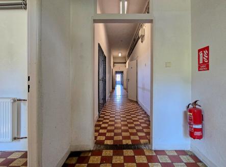 Pronájem kanceláře, 344 m²