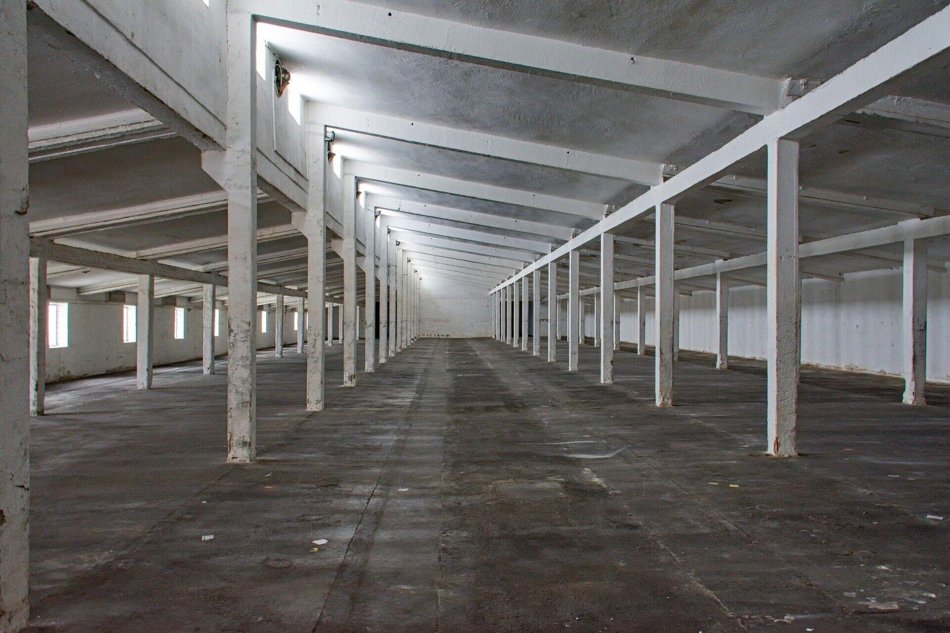 Přízemní skladovací hala 1.833 m2 vedle D11