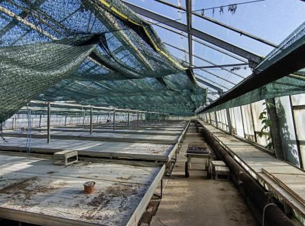 Prodej zemědělského objektu, 11 704 m²