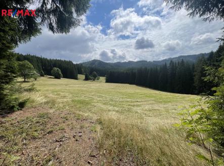 Prodej - pozemek, trvalý travní porost, 46 118 m²