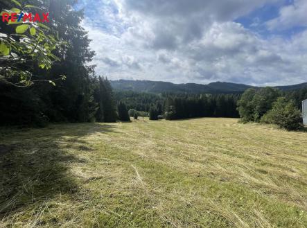 Prodej - pozemek, trvalý travní porost, 46 118 m²