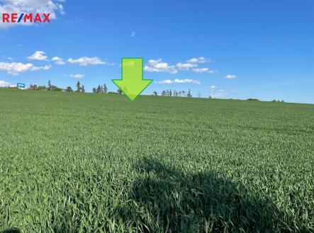 Prodej pozemku, zemědělská půda, 7 076 m²