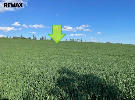 Prodej pozemku, zemědělská půda, 7 076 m²