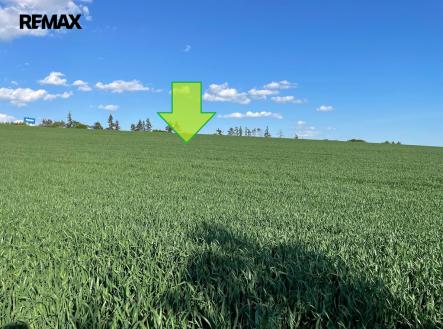 Prodej pozemku, zemědělská půda, 7 076 m²