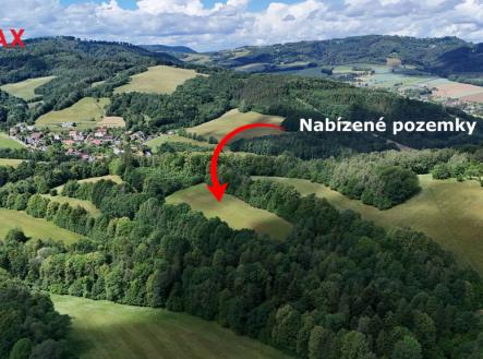 Prodej - pozemek, trvalý travní porost, 12 132 m²