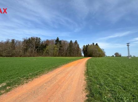 Prodej pozemku, les, 25 088 m²